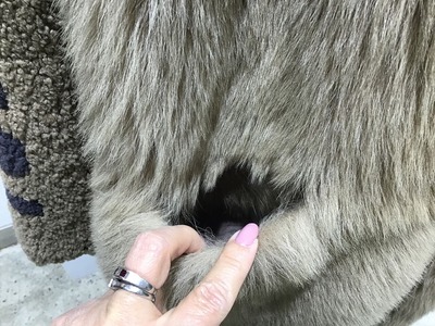 47708ECF-037F-4161-AB98-0A5A996B95FB