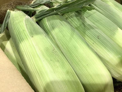 394C7EA0-1D58-4877-9311-C84B0FB1B2B6