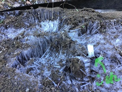 F37B29C2-C589-4054-9EB0-413124526FCC