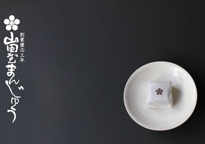 73D5F6A5-98A4-4B7C-BDA5-E3C3FF82A27F