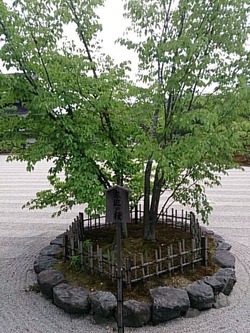 2014-06-21-13-47-48