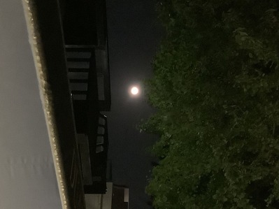 95A60609-9667-450C-8158-1F70801E3180