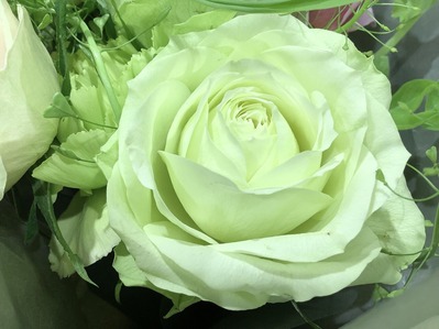 3AF2D669-95B9-4923-913E-39FF736BFBFD