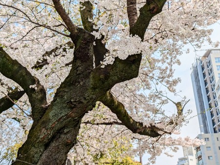 PXL_20250330_022428523~2