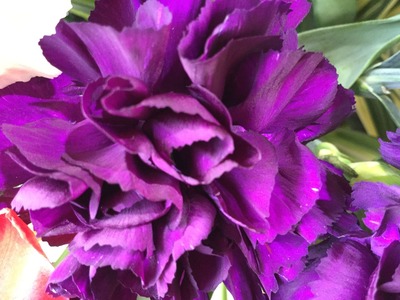 44FC4572-5D30-4AB3-B727-D33B33AC0F11