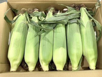 7795592F-F1C9-46B4-8F2B-B625708CB34B