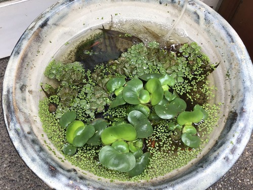 31687295-2A83-4B24-9730-06F27A7CE0D5