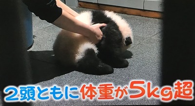 F76EACD1-DE8E-4CC5-BA6A-7EE2289E5380