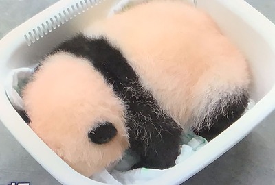 83C6C6D9-8BD9-44F1-B073-86DFBD7AED90