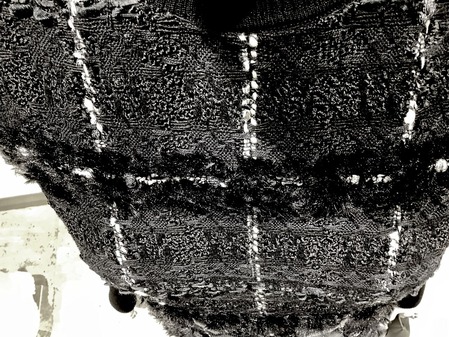 AC3ECD55-87DE-488E-8EB4-5AE4BF3BB498