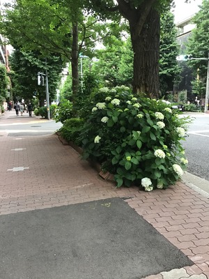 00CD7CC6-DB95-486A-B099-7CD93DE21DA3