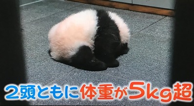 325BD65C-804F-4BB9-8DD9-3F9260A84CF2