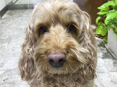 6DFA1FB8-083D-45FD-A10B-6F609B579616