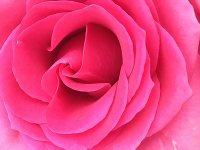 AFCB82F2-0511-471B-9FF6-FBD8CD7EBC9B