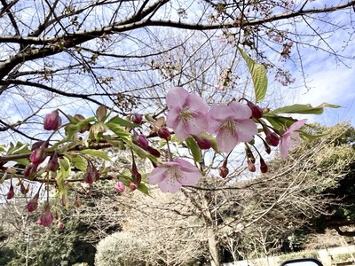 F981B92B-7EF7-442D-A49F-CEC9E445E5DF