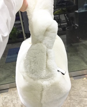 B25CC477-3210-4CF4-8AF9-CDCF73581F6F