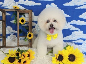 2F37BCEE-7041-41BF-923F-B0D8C2D7AA77