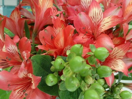 image:53000