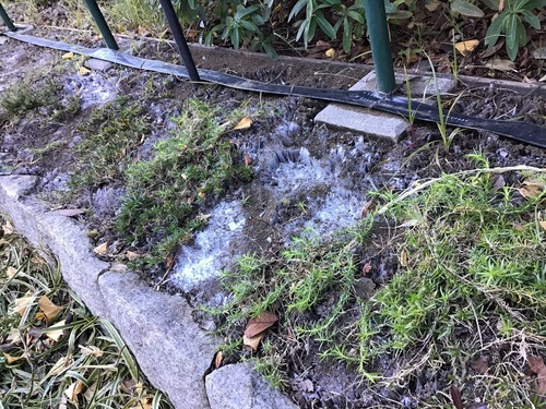 6FEBCFA2-49FB-4C57-95ED-E5FB59CE9A69