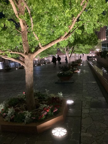 3486688C-64B1-4466-BAA5-DC77ACFB2DD7