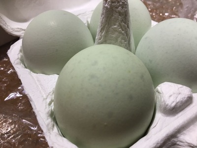 CCC0A600-CED9-4BF9-A1A1-89AEDF28F8AD