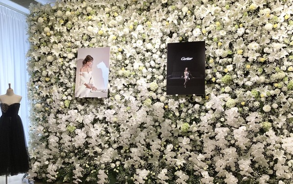 2A4E7386-B604-4D48-B90E-F9795C079FB8