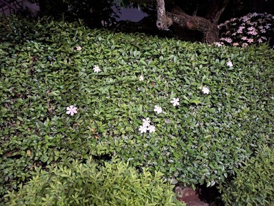 PXL_20260601_150826561