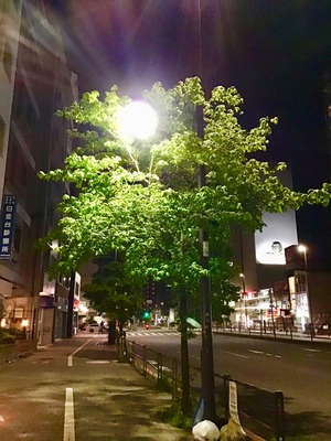 10EC56D0-E077-4AB1-8B11-31660AA5CEC1