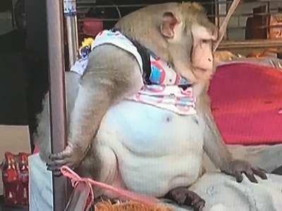 916AC475-BB92-4091-91E6-5060158515EC