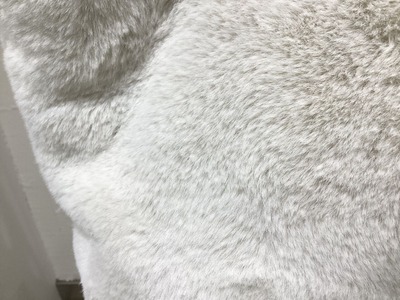 972FF224-2E03-4294-98F8-CDD367FA6CCA