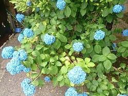 2014-06-21-13-27-27