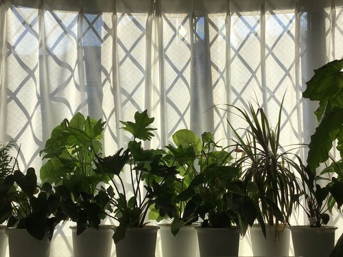 9A2E9194-9595-4DF2-B526-E69B90913474