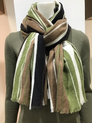 5C56D6E1-4BE4-4A73-8F7A-ADB90DF5F96F