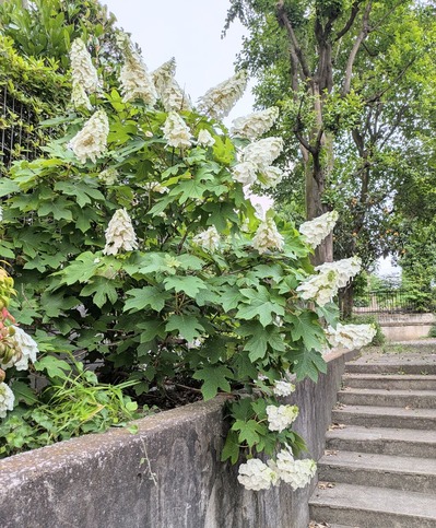 PXL_20260524_085915785