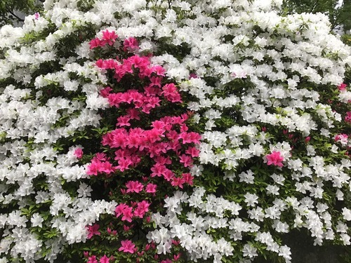 1B0C85EB-D2FA-4699-A508-D52D891E6282