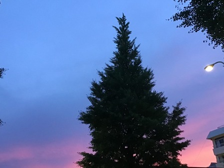 240D5F94-DBF5-4C5E-AA87-5C98FDB36446