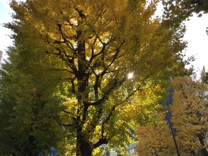 AFA8B2FC-800C-4669-B5E4-FB03985CE744