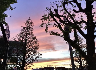 A84BAFB8-0A64-45D7-813C-DAD0BFD7D32B