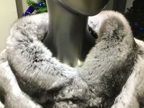 F3989580-673B-435D-B688-848C885D20D5