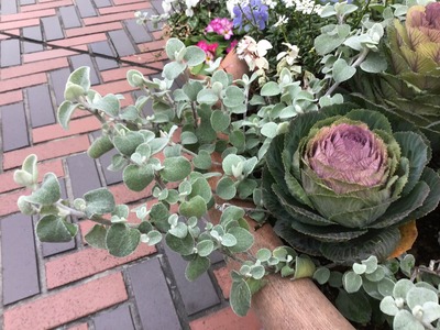 15692F0C-4E7C-4D84-A62C-3C7E37174B36