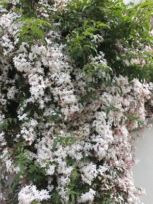 6E7258F1-1395-4933-8FDE-CD67A3FCA00C