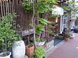 2014-04-17-17-14-01