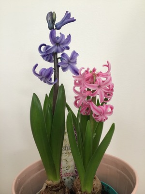 3DBE696F-2F11-40A3-BBB0-FE68682A79FB