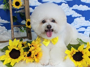 9710FC07-CDCE-4099-AADE-194B97515ACE