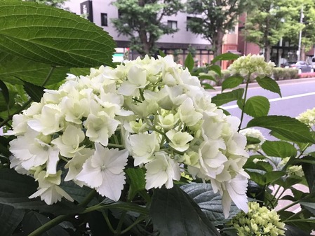 744AD7AB-B7DD-4CCF-8F95-A7315A597D27