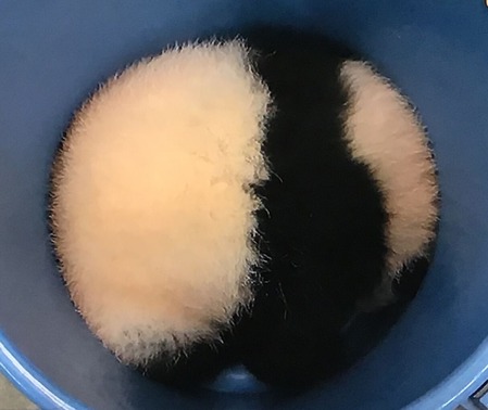 1D22C7F2-05C1-4B30-B31E-8F5AB09B218F