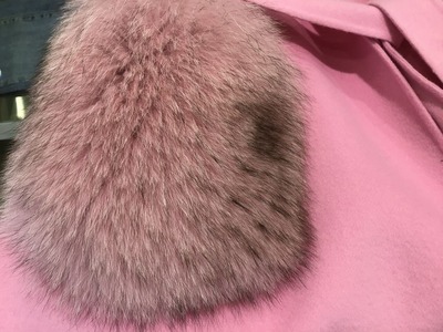 0FED5E20-41B6-4674-92FA-463AFAD8915C