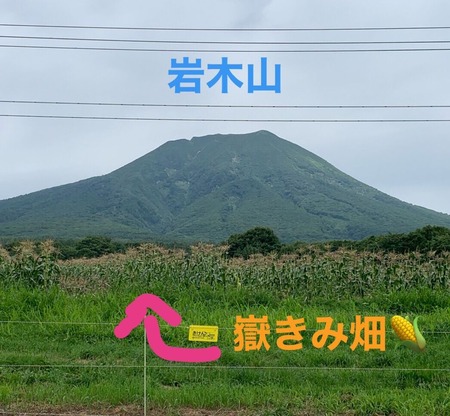 21CDA594-9C6F-4946-981D-DF01A2C80356