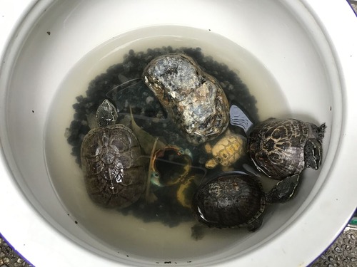 E5F743F2-3D1D-4733-A983-2F9814DE668B