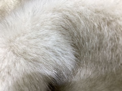 6692D8B1-E8AE-4F9A-8471-C68656FF94A2